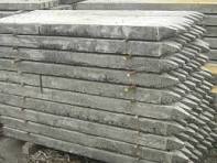 z4217440775117_9530e4fc78481d87627f00ca138331eb